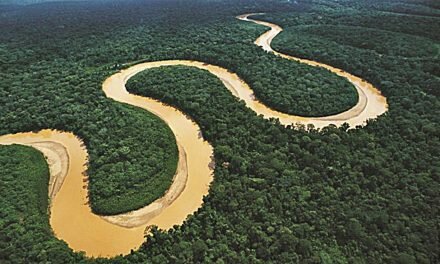 Con la Amazonia en la mira