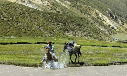 Crónica de un cruce de los Andes (I)