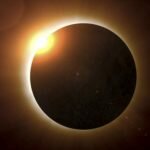 ¿Qué hacen los animales en los eclipses?