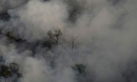 ¡Qué horror lo de la Amazonia! O sea, ¿viste?