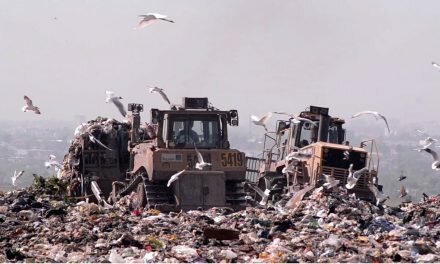 Basura sobre basura