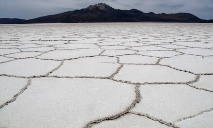 Crónica de una piedra de sal en la herida