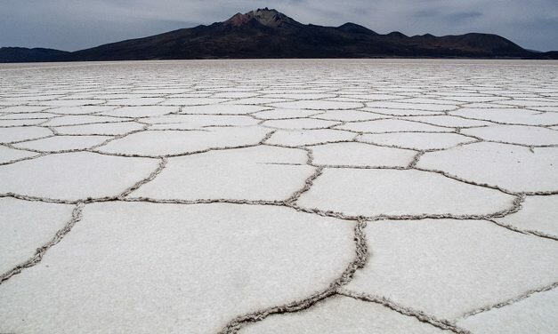 Crónica de una piedra de sal en la herida