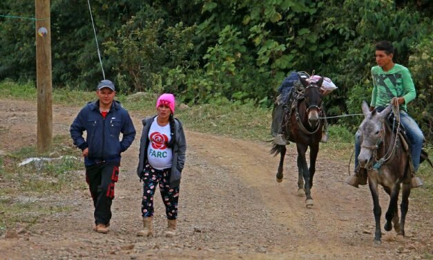 Sobrevivir la paz o vivir la muerte