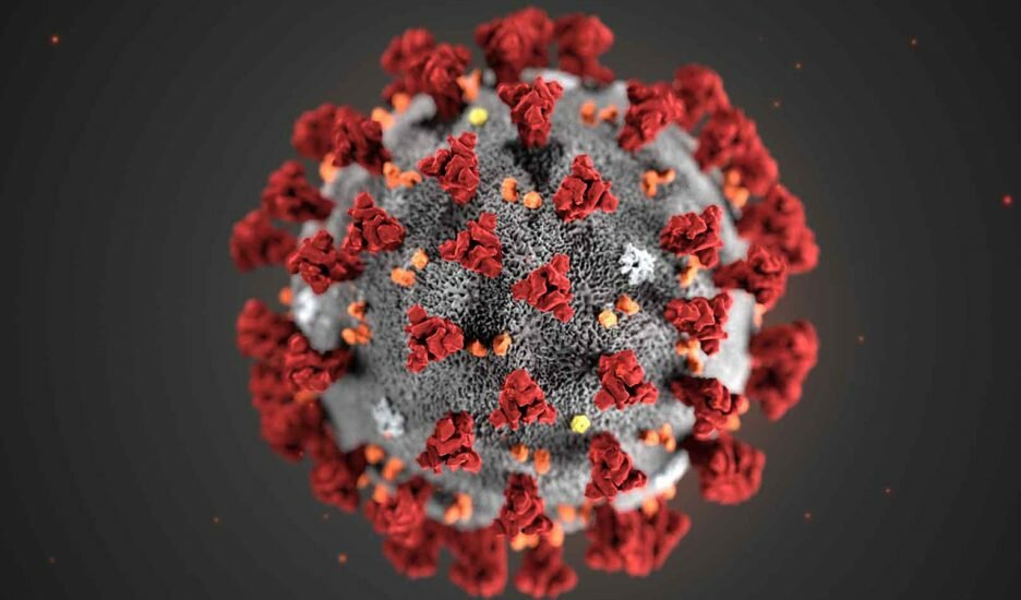 Tras los pasos del Coronavirus